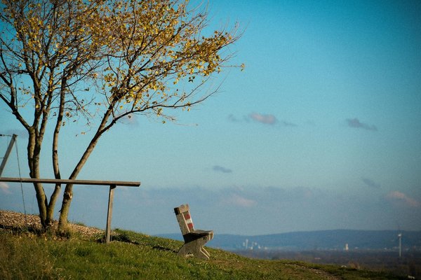 Dentiste à Ostwald : conseils pour choisir celui qui vous convient
