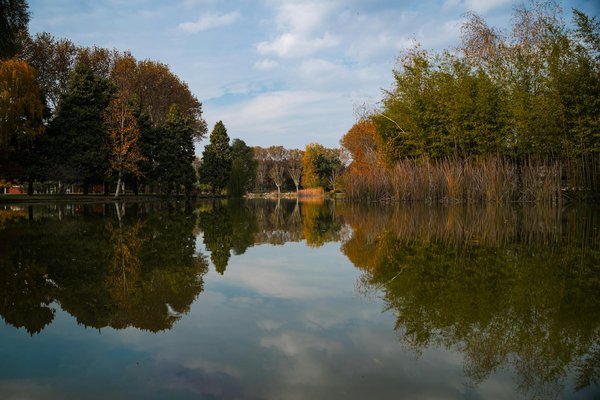 Les probiotiques : ce qu'ils sont, à quoi ils servent et comment les consommer