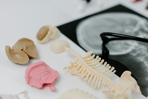 Signes, causes et facteurs de risque de la bronchiolite