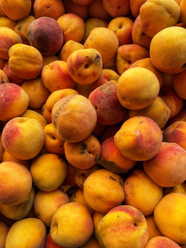 Quelles techniques de pêche sont à la fois relaxantes et adaptées aux seniors ?